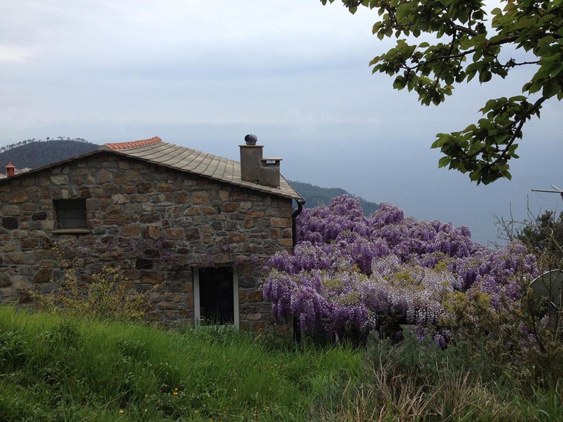 Cottage La Torre Del Pittore Bonassola Ngoại thất bức ảnh